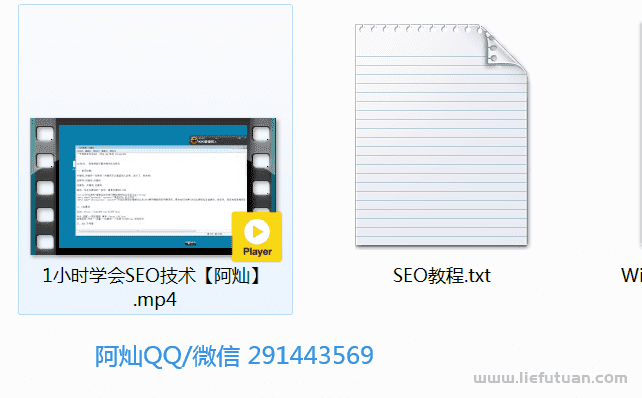 【会员课03】1小时学会SEO技术，网站排名优化实战高级教程（秒杀市面95%收费几千的SEO教程）-猎富团