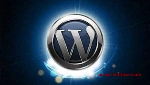 图片[2]-WordPress SEO优化指南，一看就会迅速提升网站排名-猎富团