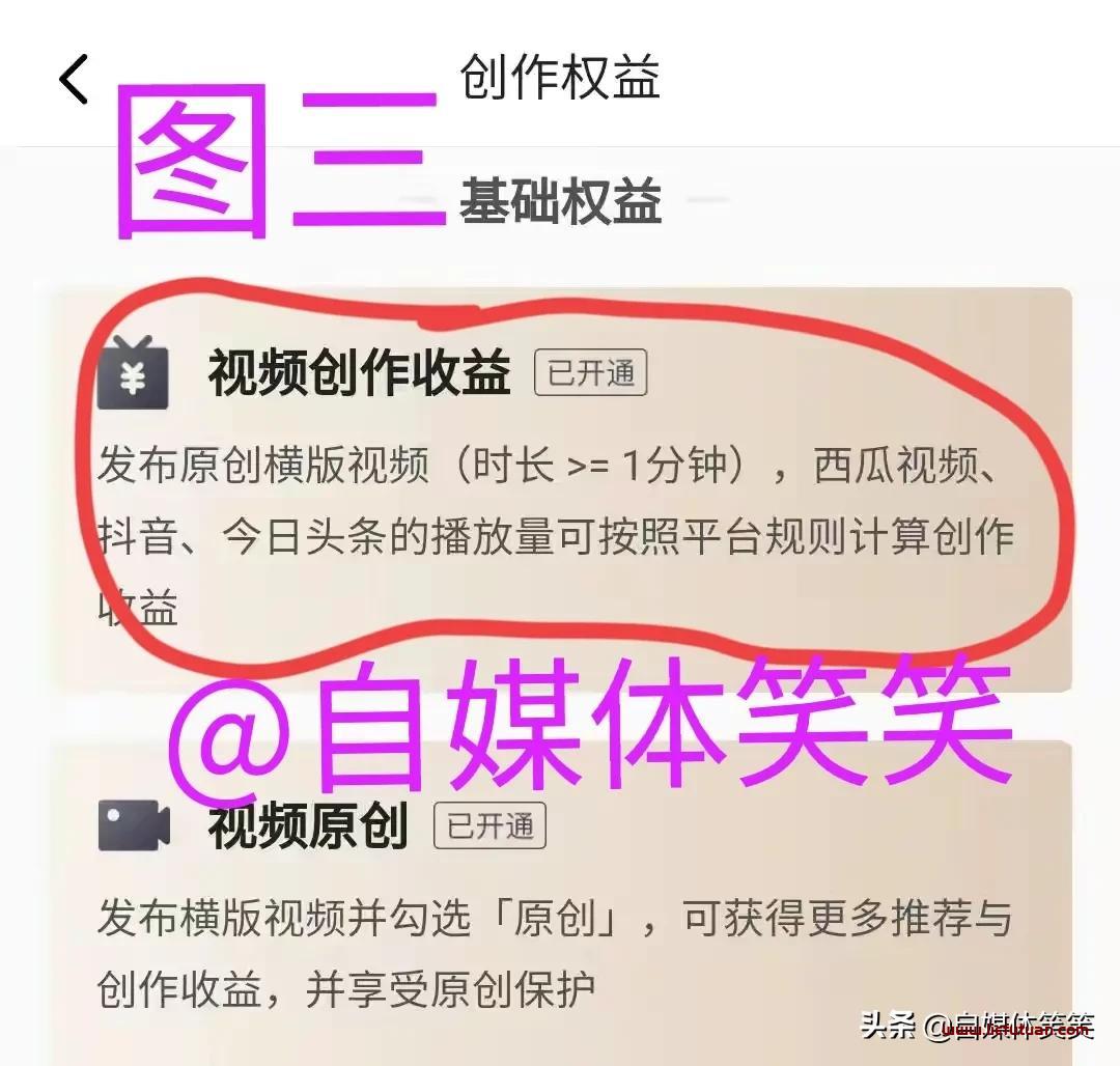 中视频伙伴计划怎么赚钱【3步开通中视频计划获取3倍收益图文教程】