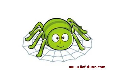 图片[2]-什么是搜索引擎蜘蛛（spider）搜索引擎蜘蛛的描述-猎富团