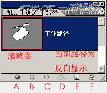 ps钢笔工具怎么用（Photoshop钢笔工具使用图解教程）