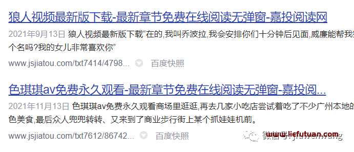 图片[6]-老域名建站有什么优势【老域名继承权重快速权重4方案】-猎富团