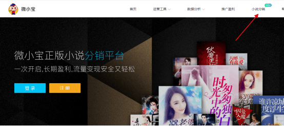 小说cps分销推广,月入过万副业项目