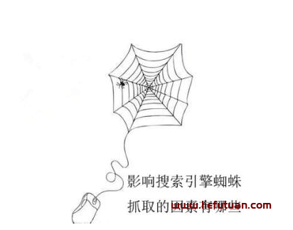 百度蜘蛛抓取（怎么增加网站蜘蛛爬取）SEO优化再也不做无用功