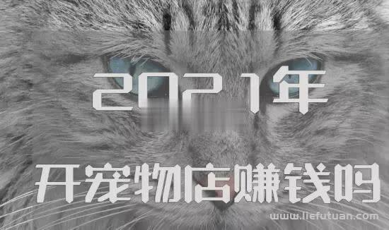 2022宠物店投资创业方案-猎富团