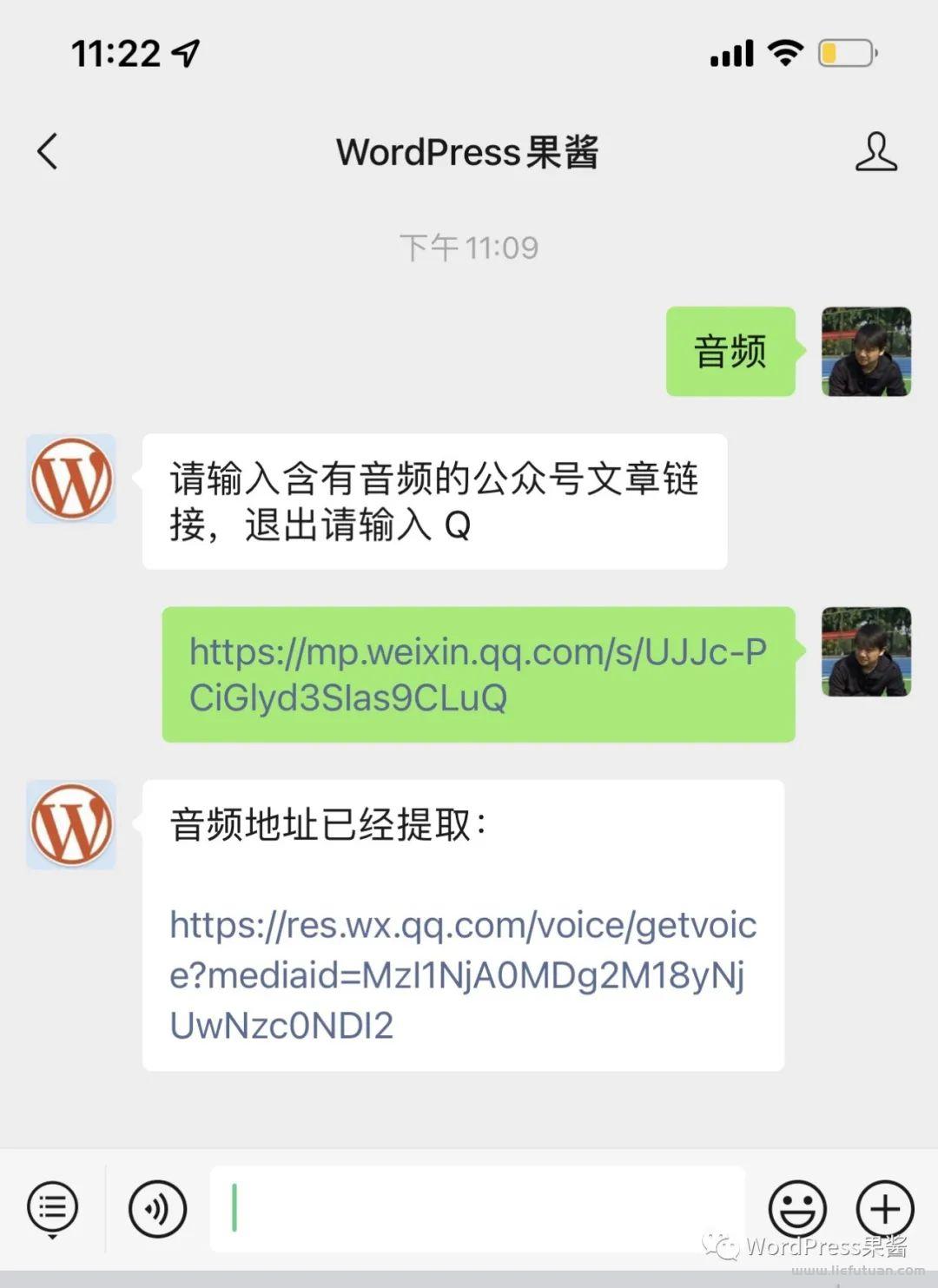 图片[2]-WordPress工具汇总，一键提取公众文章中的音频，视频和头图-猎富团