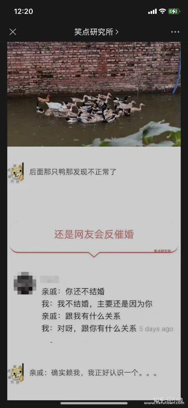 图片[2]-微头条项目一天十几块，傻瓜式操作，有手就有收入的方法！-猎富团