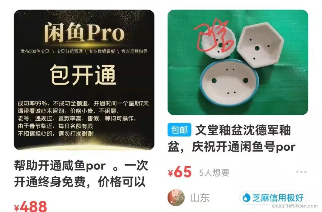 有人售价488的闲鱼开通PRO教程-猎富团