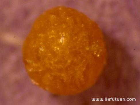 科学角度解释:舍利子是什么东西? 科学角度解释:舍利子是什么东西?