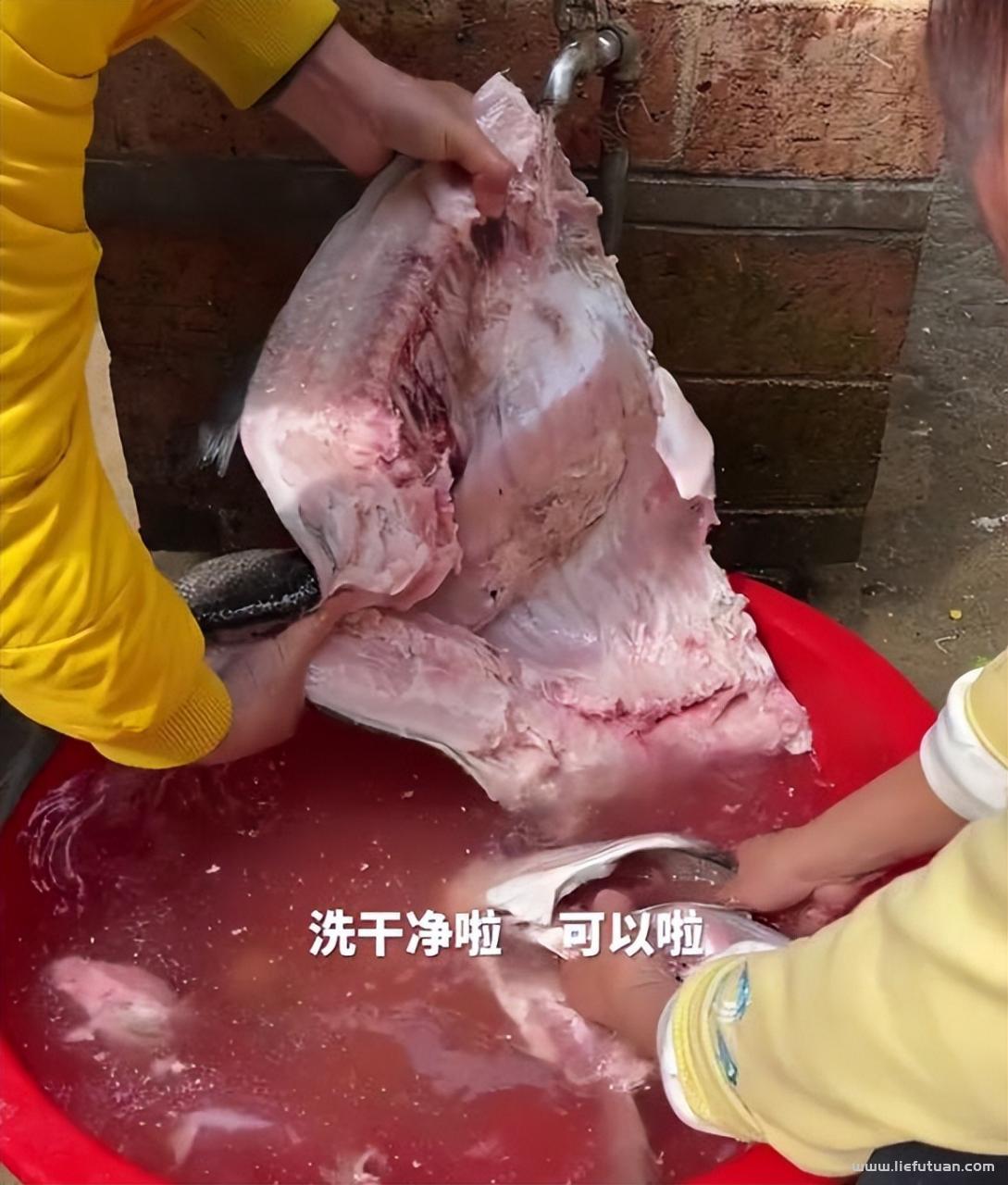 牛爱芳的小春花真实情况：离谱！小春花被男网红告白，喊话让其嫁给自己，牛爱芳回应显卑微