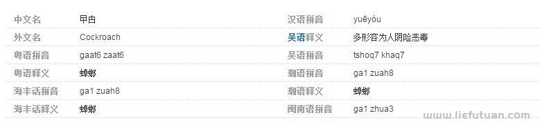曱甴是什么意思（曱甴怎么读）-猎富团