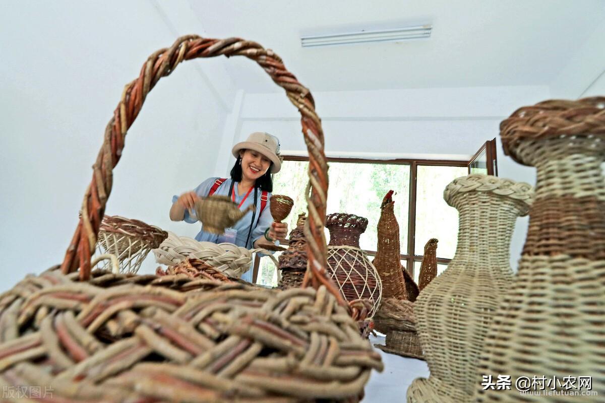 八个适宜在农村创业致富的项目：8个项目就“钱”景可观