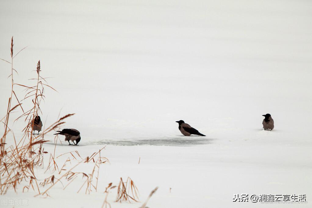 10种去除静电的小妙招方法,这个冬天不带电 10种去除静电的小妙招方法,这个冬天不带电