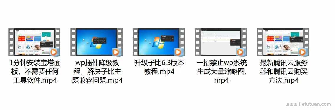 图片[3]-资源网站项目，挣钱的步骤-猎富团