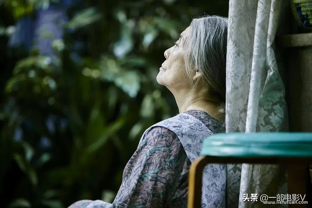 小偷家族深度解析 看一次哭一次，高分催泪佳作