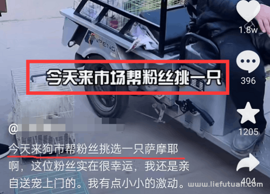 爆发式增长的宠物经济,宠物行业0门槛,高收入