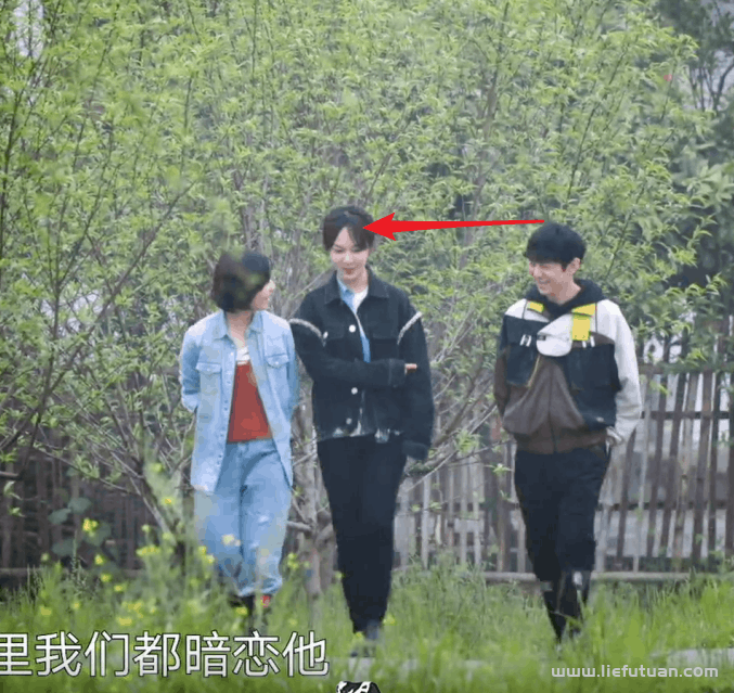 何炅有多高（何炅的身高一直都是让人不解）