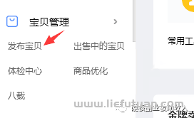 图片[21]-月挣3万的淘宝虚拟全流程干货：吊打市面大部分付费课程！-猎富团