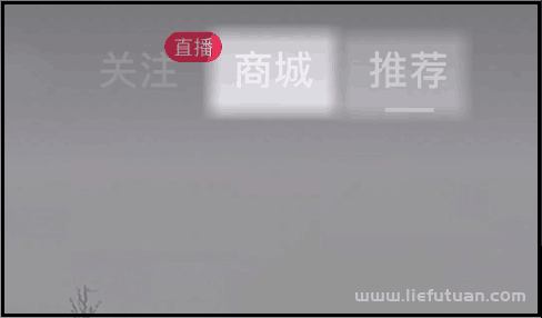 图片[2]-不发视频不直播，保姆级教程，教你玩赚抖音无货源电商！-猎富团