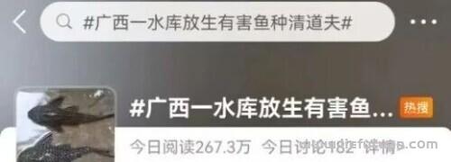 清道夫是什么鱼，水库放生“清道夫”，后果有多严重？-猎富团