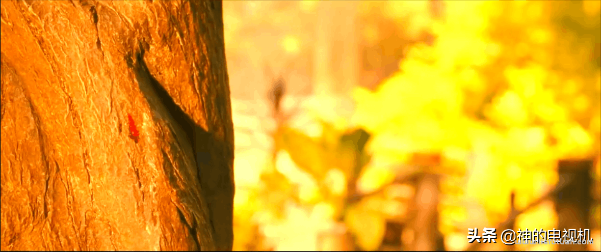 《临终千言》:这不是绑架片,话痨的蜕变与救赎 《临终千言》:这不是绑架片,话痨的蜕变与救赎