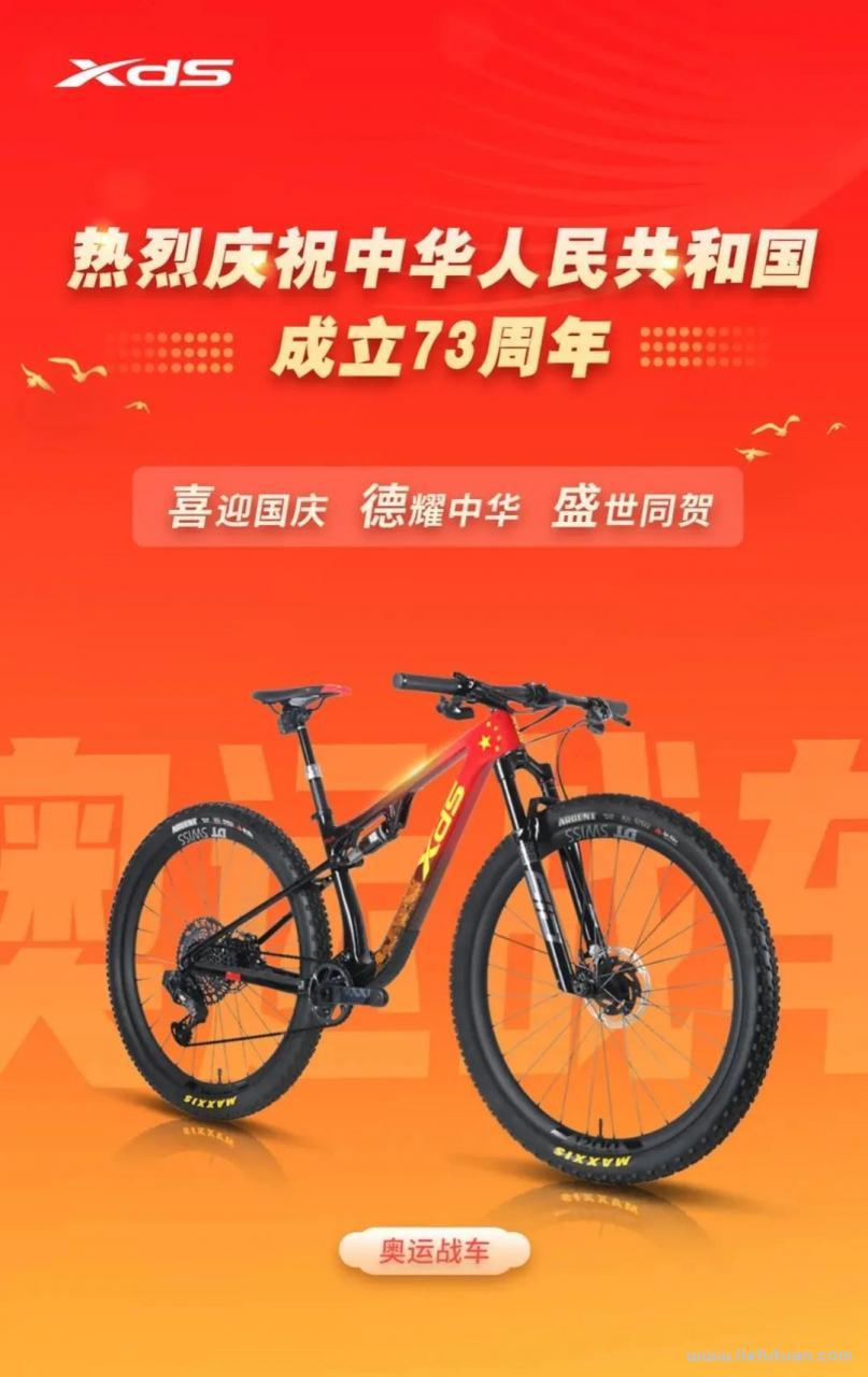 山地自行车品牌（自行车10大品牌浅析）