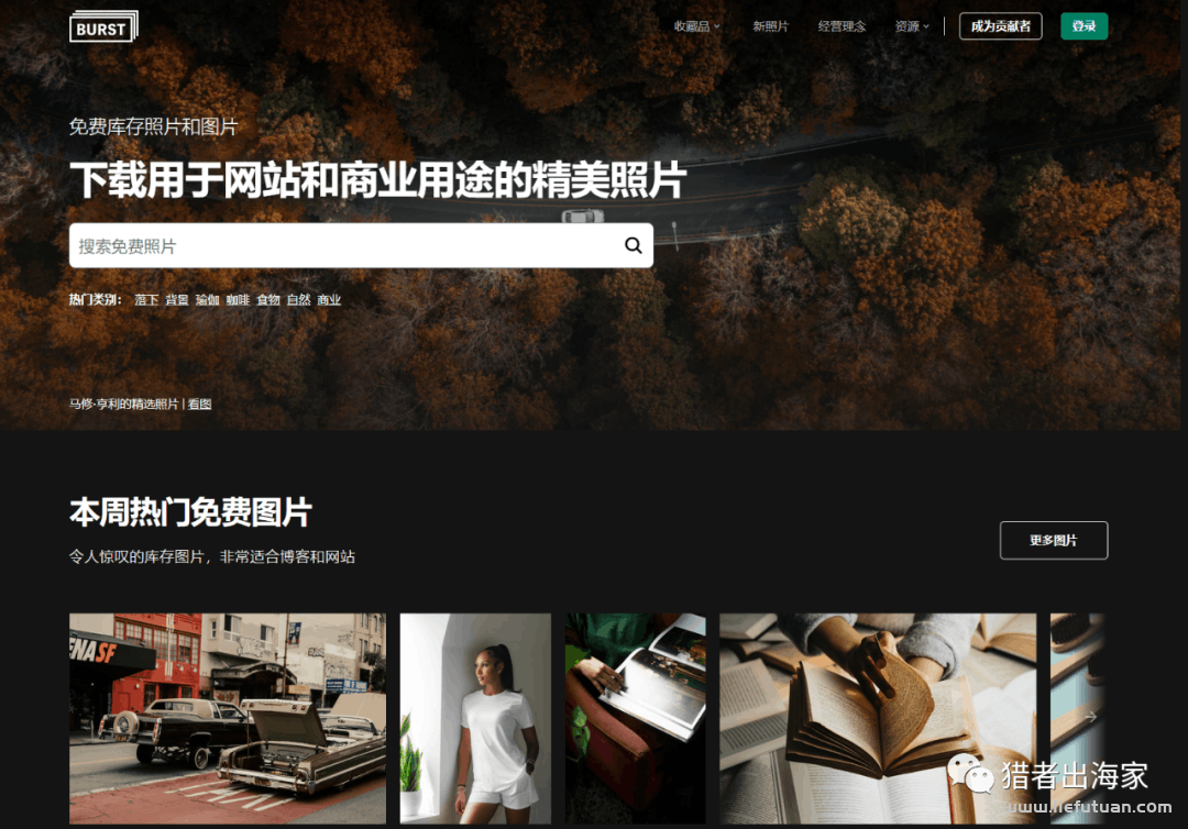 图片[13]-倪叶明：再简单不过的图片搬运赚美元项目，一张可挣10美刀-猎富团