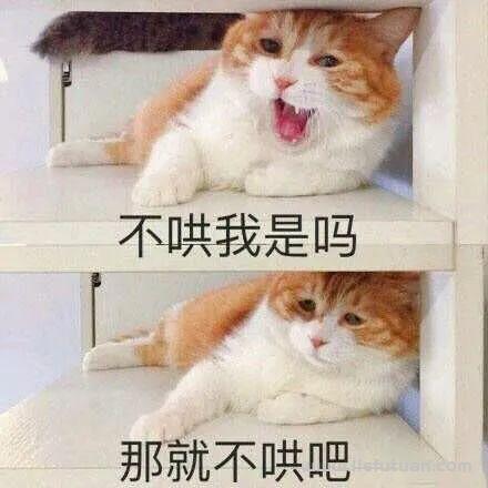 图片[6]-普通人暴富捷径：4种方法认识亿万富豪-猎富团