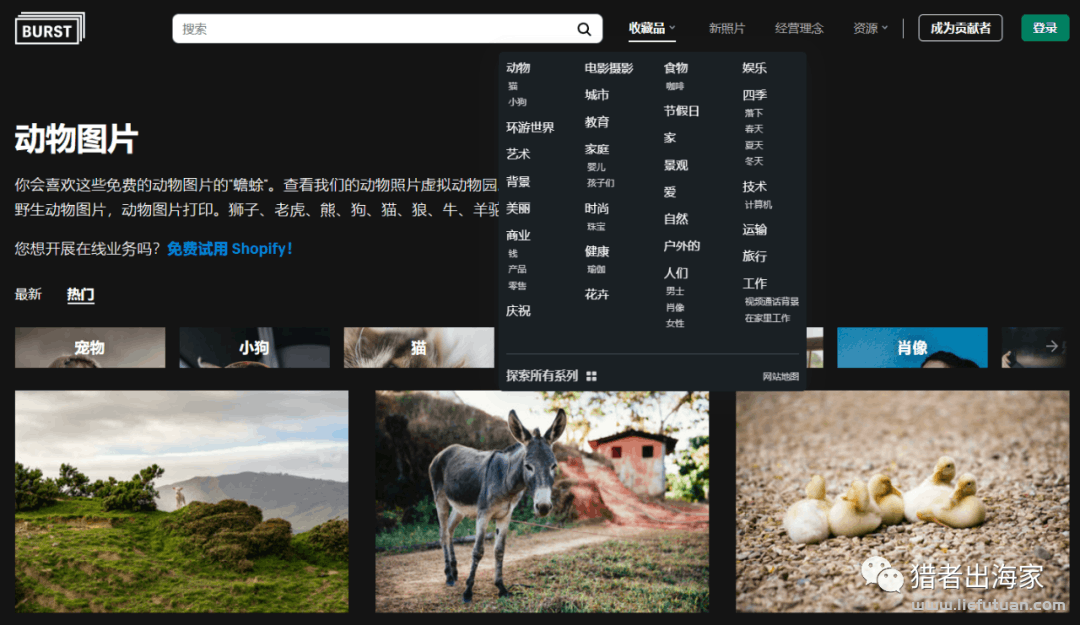 图片[14]-倪叶明：再简单不过的图片搬运赚美元项目，一张可挣10美刀-猎富团