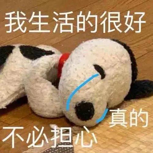 2个小而美的生意,让你一年纯利60万