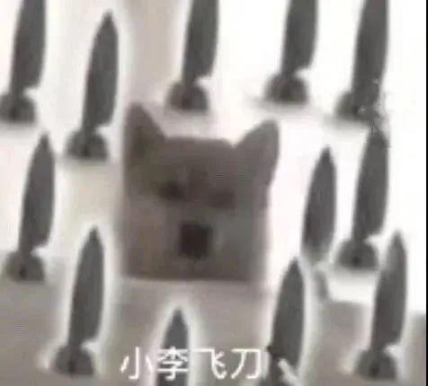 2个小而美的生意,让你一年纯利60万