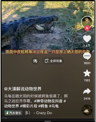 抖音小技巧:掌握评论区放大镜的隐藏功能,轻松上热门!