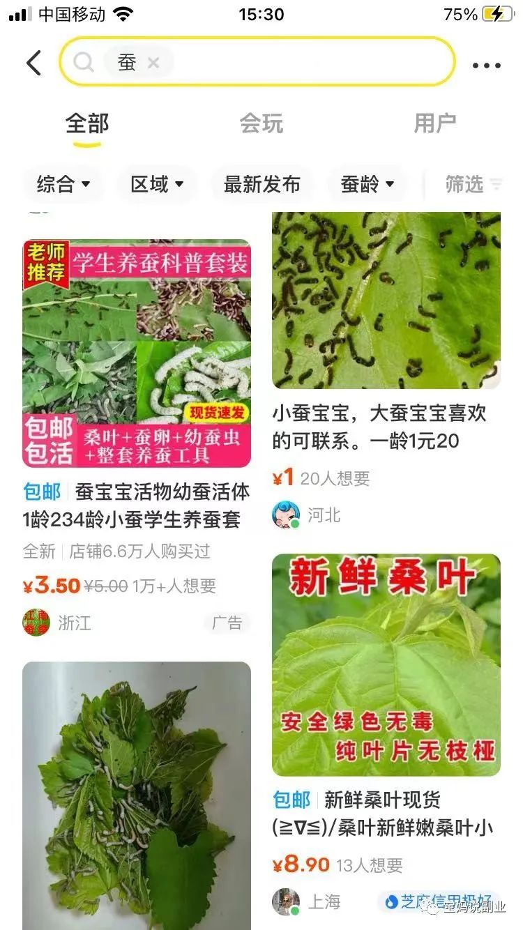 卖蚕宝宝、卖桑叶：一个非常适合农村宝妈的闲鱼小项目