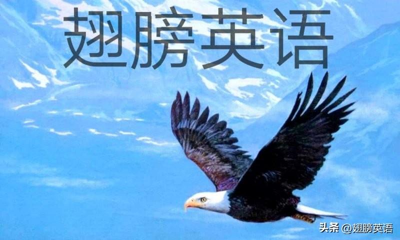 begin是什么意思：begin类词用法围剿