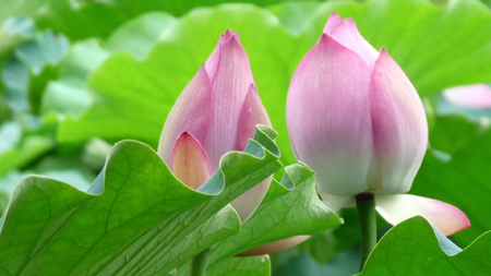 第一眼就吸引人的图片（什么样的微信头像会给人好的印象）