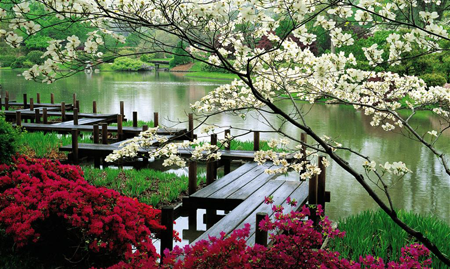 第一眼就吸引人的图片（什么样的微信头像会给人好的印象）