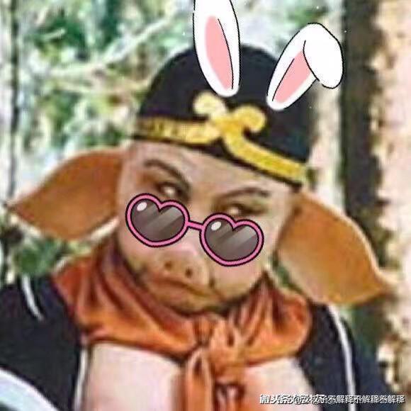 第一眼就吸引人的图片（什么样的微信头像会给人好的印象）