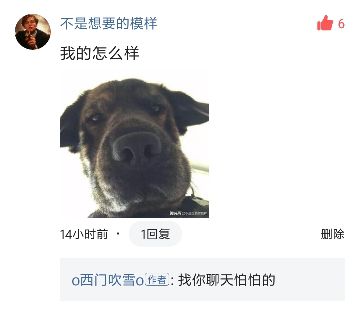 第一眼就吸引人的图片（什么样的微信头像会给人好的印象）