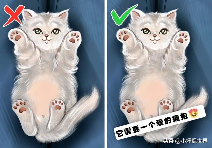 抖音拍视频教程大公开，让你秒变“抖音网红”！