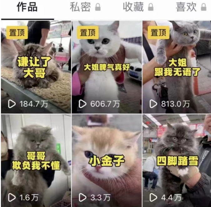 宠物项目+微信朋友圈=被动收益，规模暴利！-猎富团