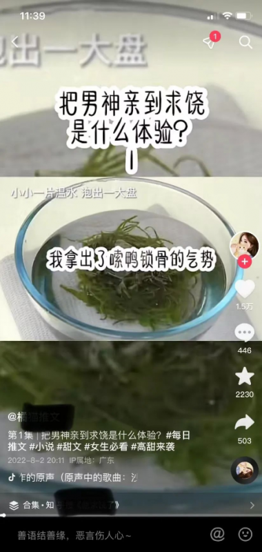 图片[5]-【知乎盐选会员小说变现】微信视频号操作教程，0门槛的创收利器！-猎富团