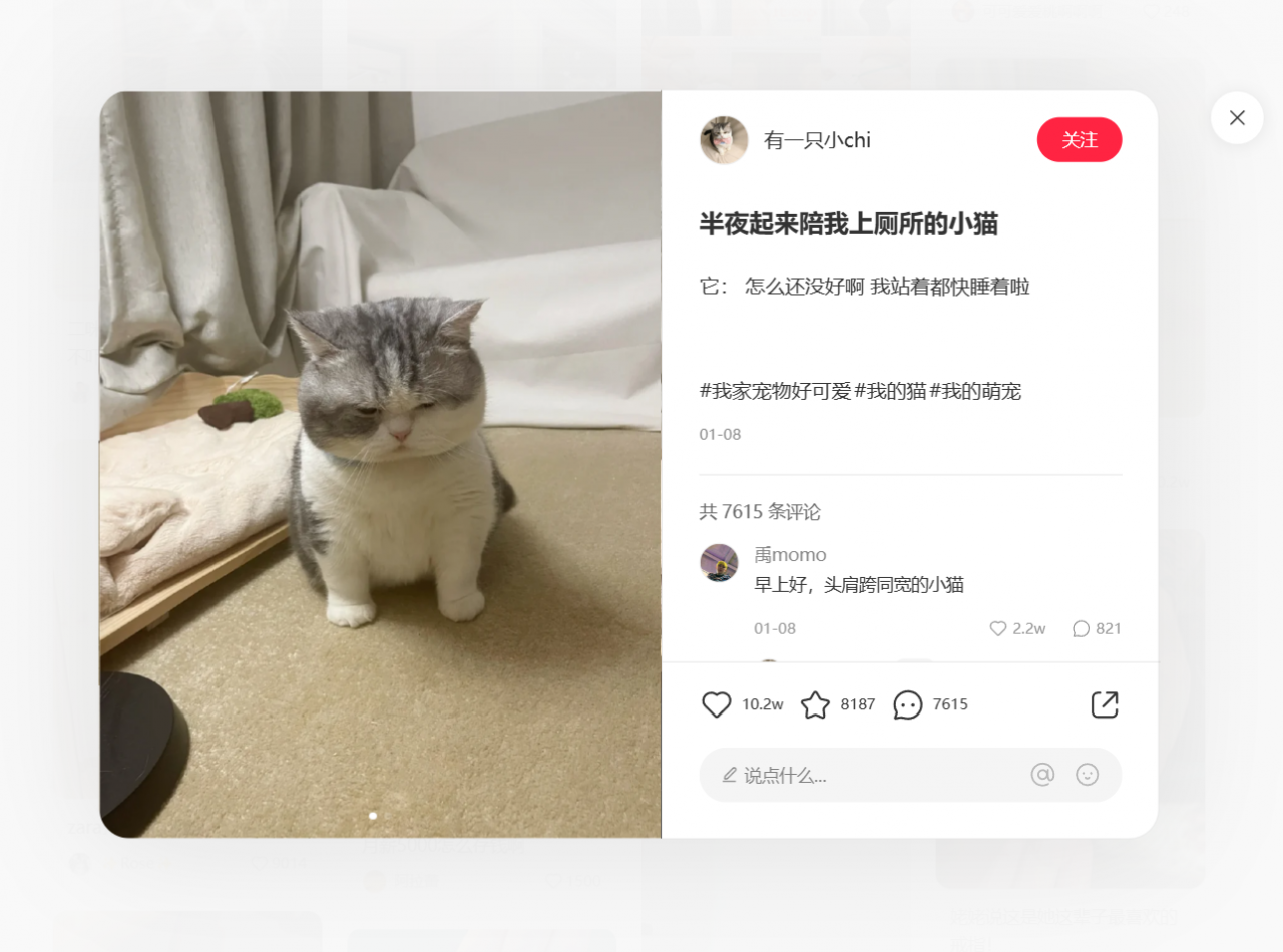 小红书官网入口，了解最新美妆时尚资讯，买到心仪好物！