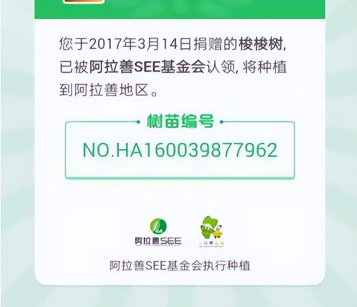 【环保行动】蚂蚁森林:种植梭梭树拯救沙漠,马云发起的公益项目!