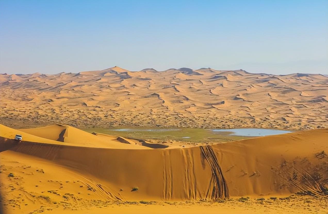 【环保行动】蚂蚁森林:种植梭梭树拯救沙漠,马云发起的公益项目!