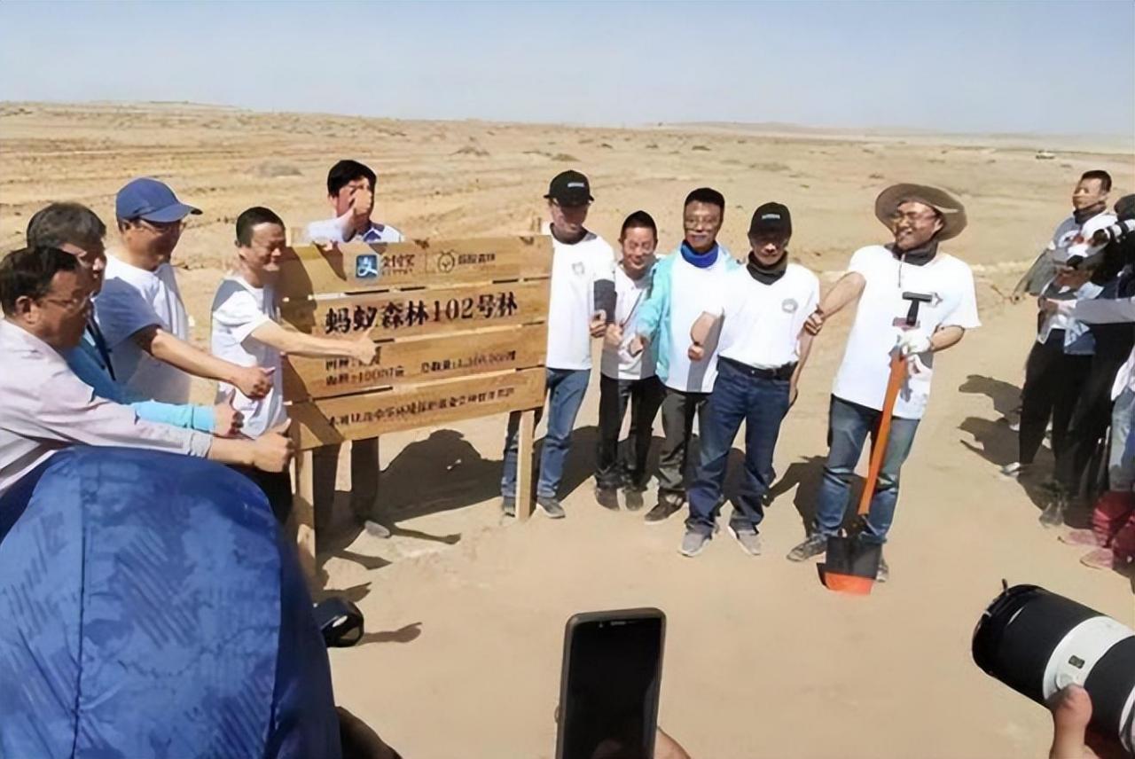 【环保行动】蚂蚁森林:种植梭梭树拯救沙漠,马云发起的公益项目!