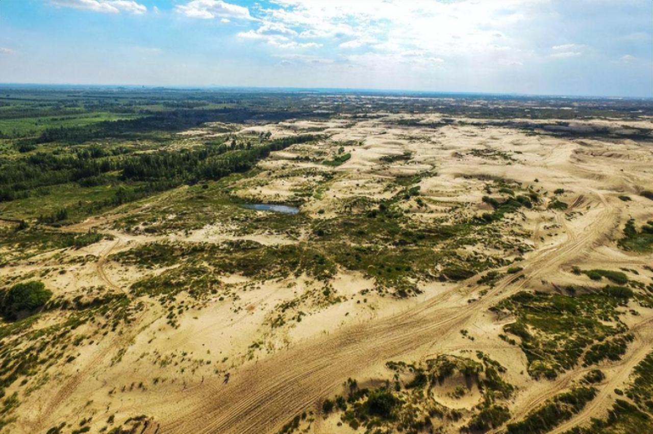 【环保行动】蚂蚁森林:种植梭梭树拯救沙漠,马云发起的公益项目!
