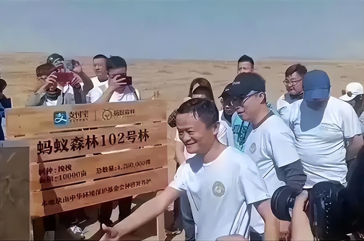 【环保行动】蚂蚁森林：种植梭梭树拯救沙漠，马云发起的公益项目！-猎富团