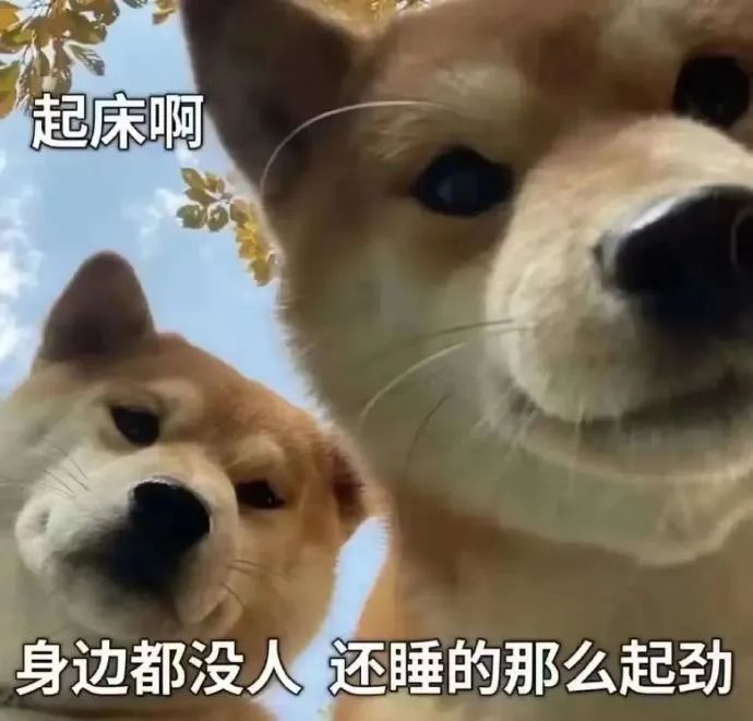 硬核省钱小妙招，拥抱薅羊毛的财富快乐！-猎富团
