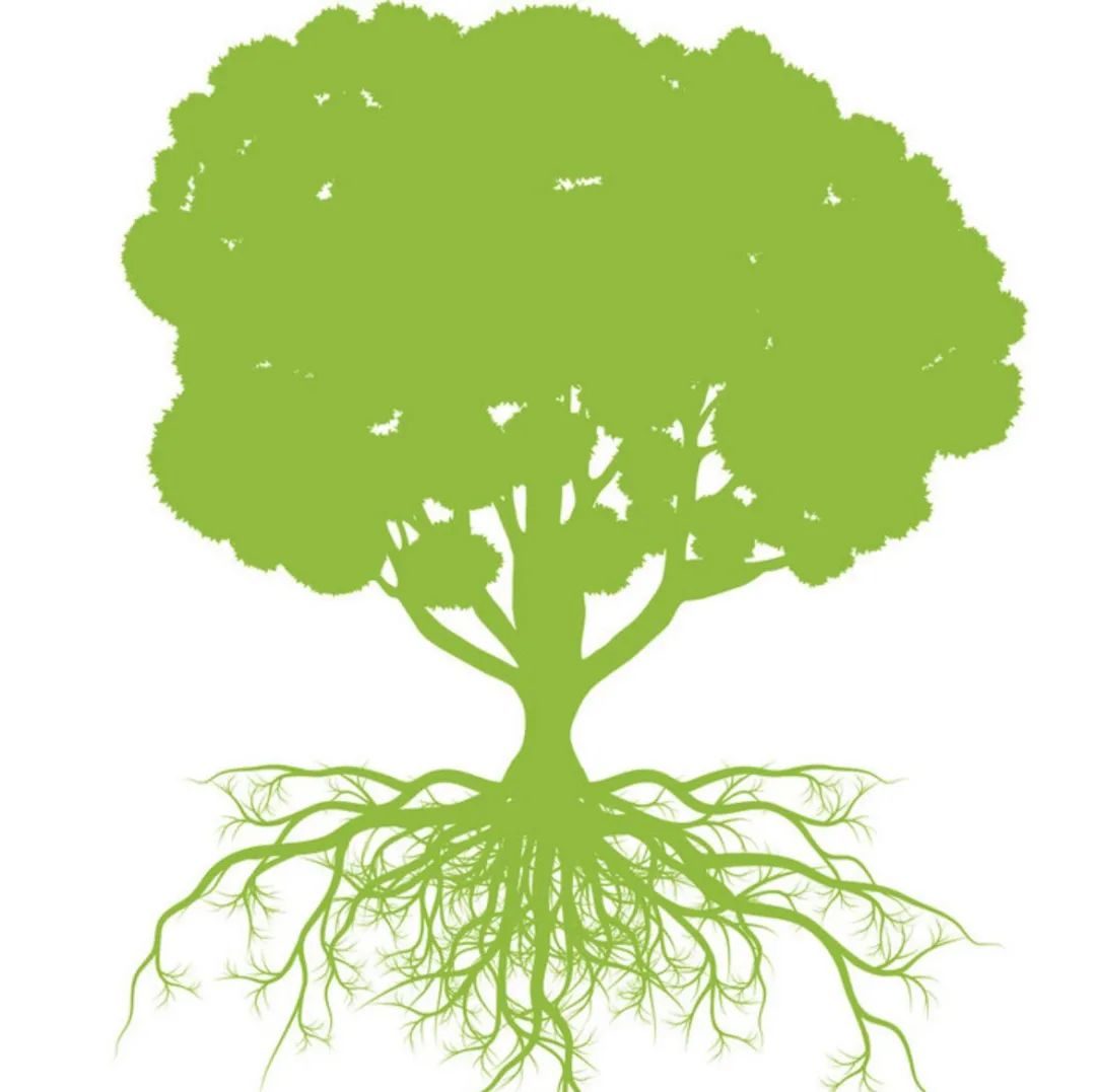 知识付费！小痛点领域赚钱不止一点点！！！！