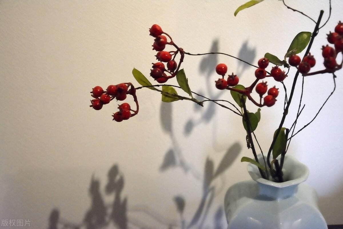 “微信潜规则”:令人反感的几种聊天方式,希望你一个也没有